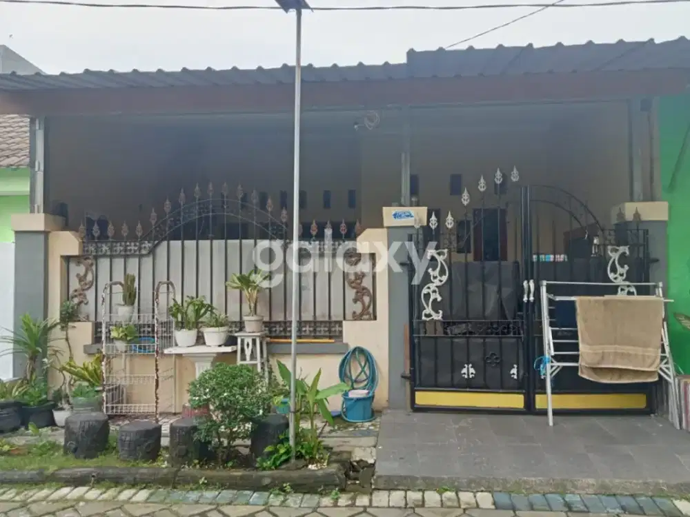 Rumah minimalis