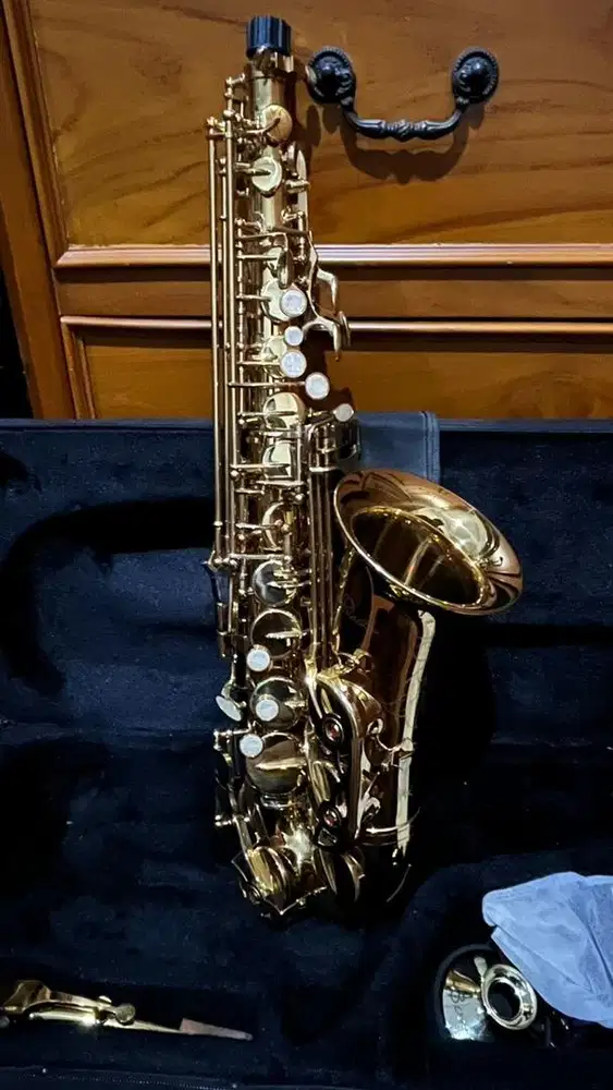 Alto Saxophone Paladin
