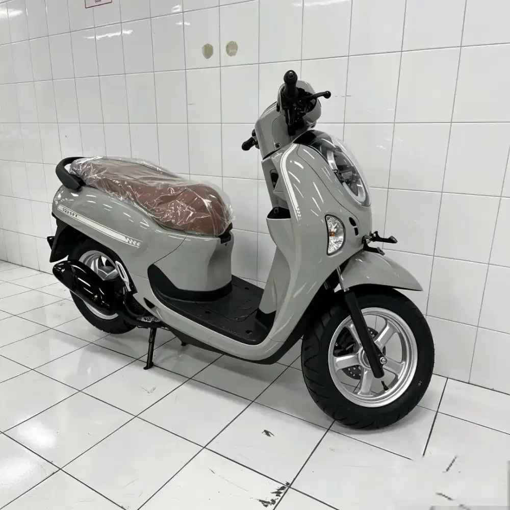 HONDA SCOOPY STYLISH GREY