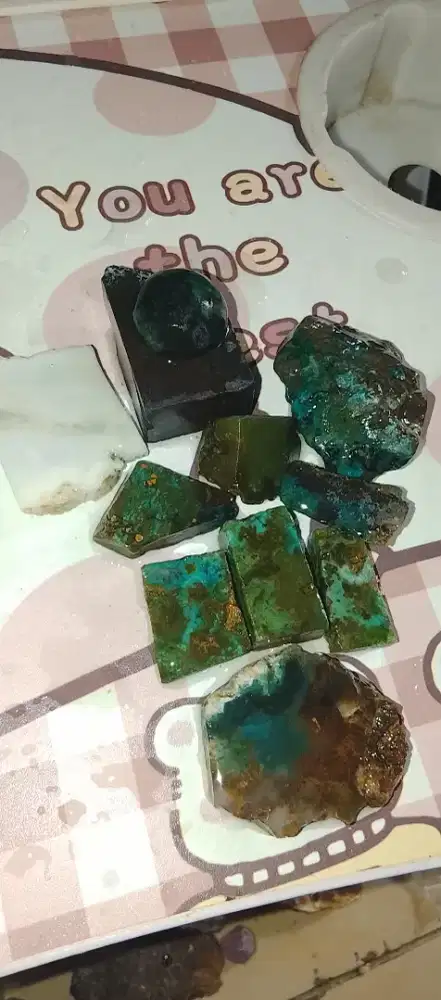 BACAN DOKO COKLAT KEMBANG AJIB
