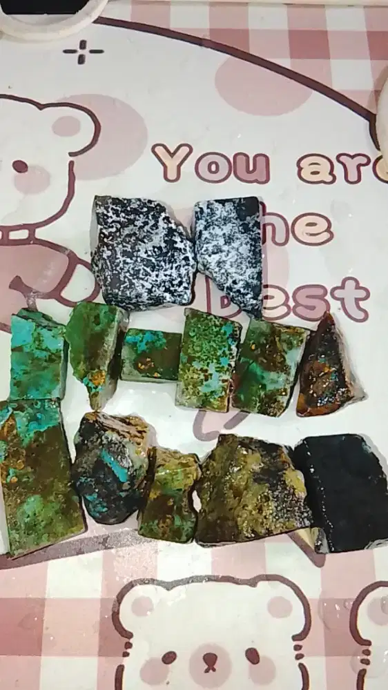 BACAN DOKO COKLAT KEMBANG AJIB KOTAKAN