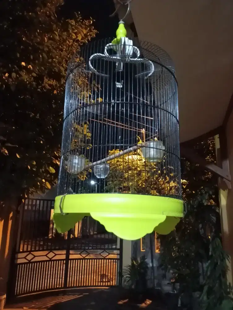 Dijual Kandang Burung Fulset