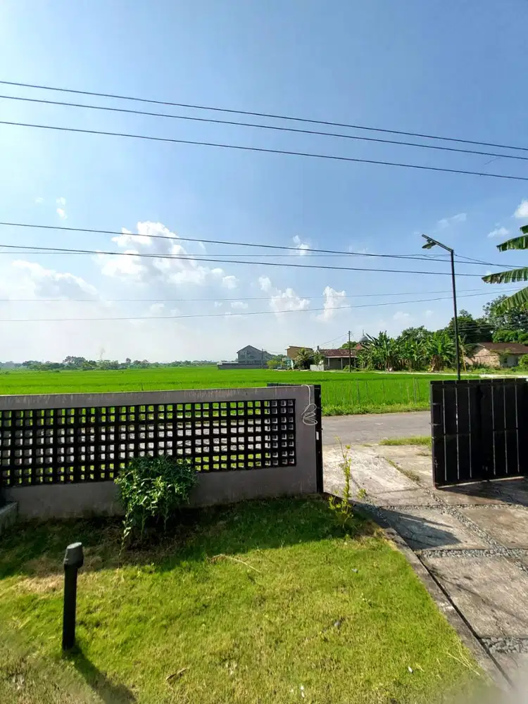 Rumah Halaman Luas View Persawahan Cantik di Berbah