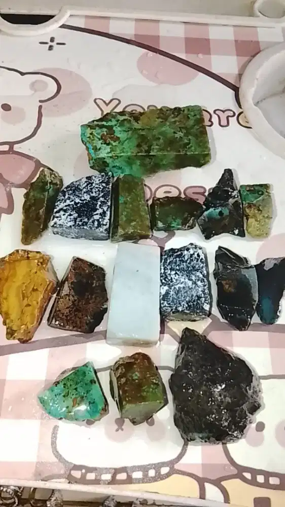 BACAN DOKO COKLAT KEMBANG AJIB
