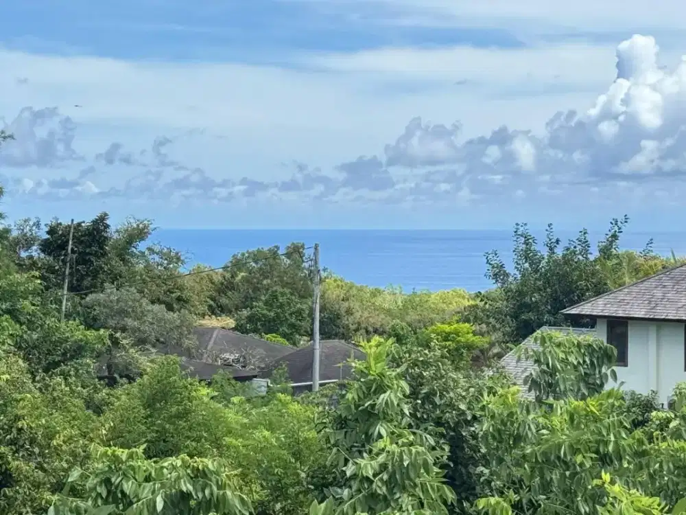 Good Ocean View Land Forsale