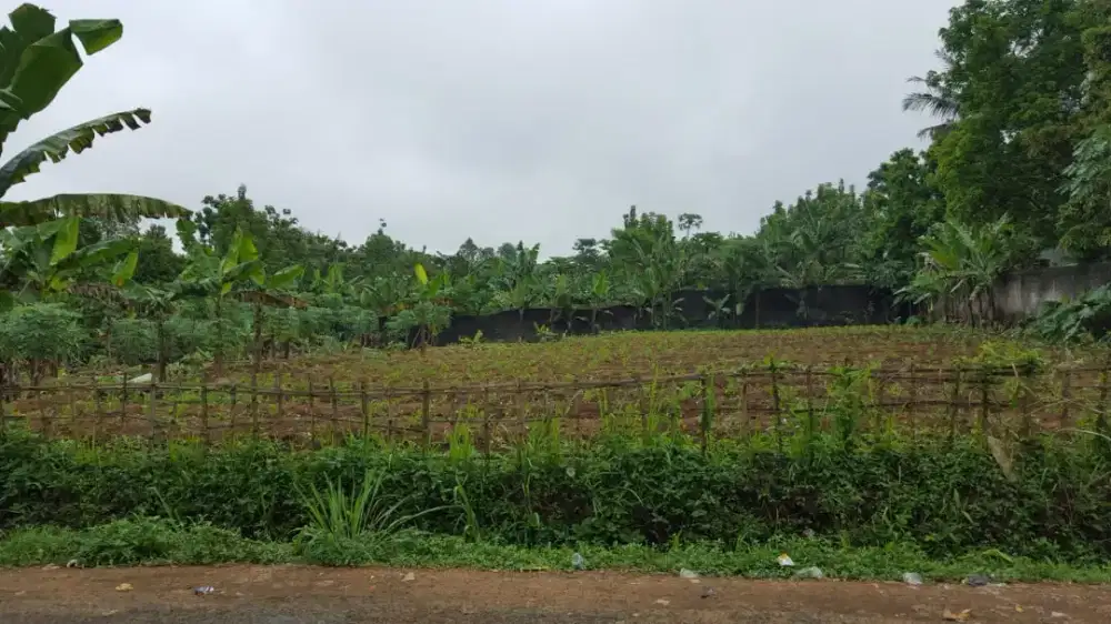 Tanah Dijual di Citapen
