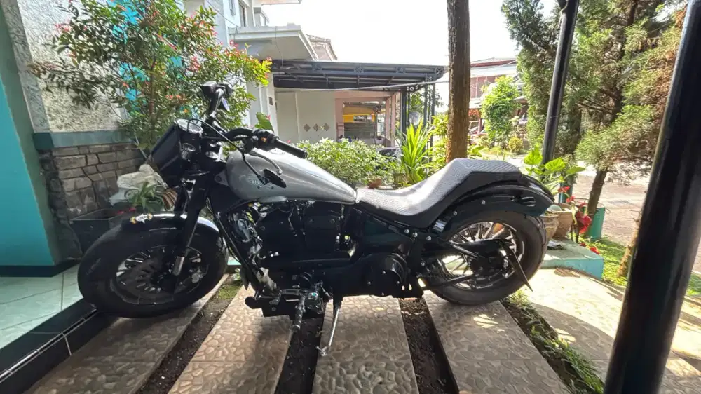 Hunter diablo 350 custom sportster