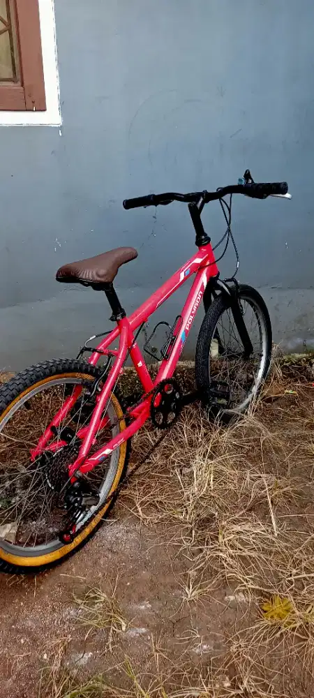 Sepeda anak Polygon 20