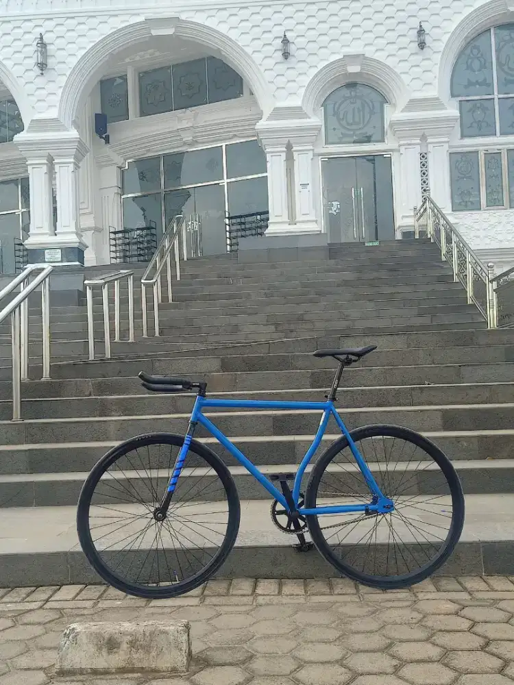 Sepeda fixie torpedo