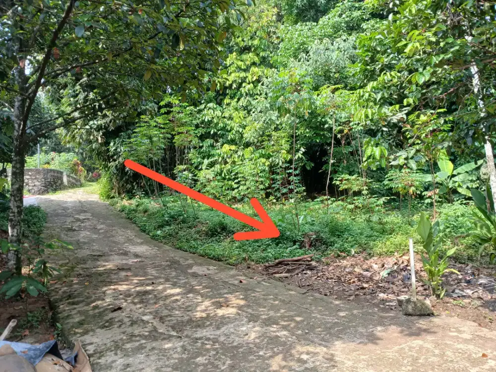 Dijual Tanah 50m Tonjong Tajur Halang Bogor Kabupaten