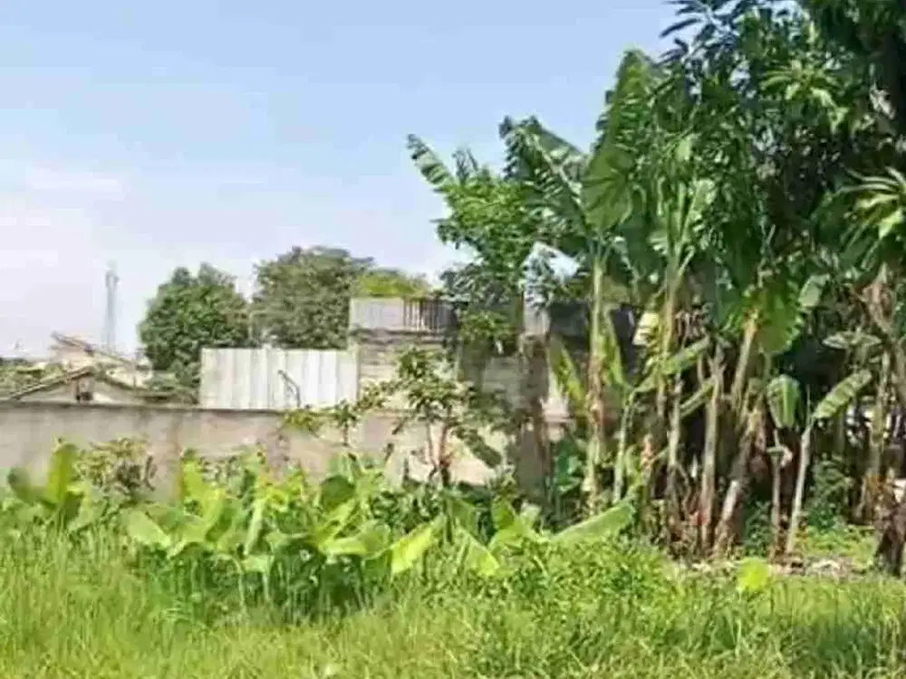 Di Jual Cepat Tanah Strategis Di Pinggir Jalan Propinsi