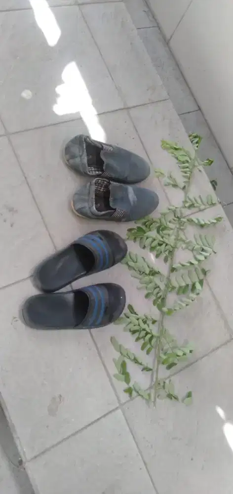 Di jual semuaqcam dan warna sepatu,sendal cow atau cew,anak dll