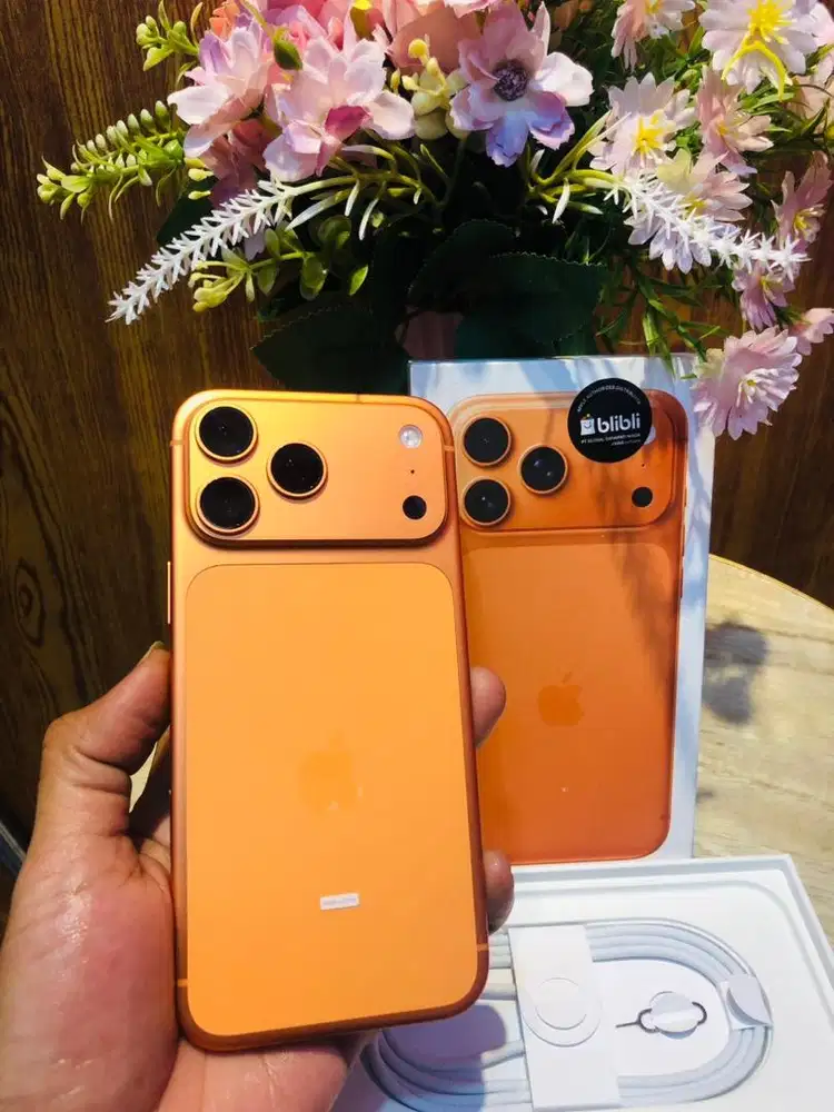 iphone 17 promax 256 GB iBox