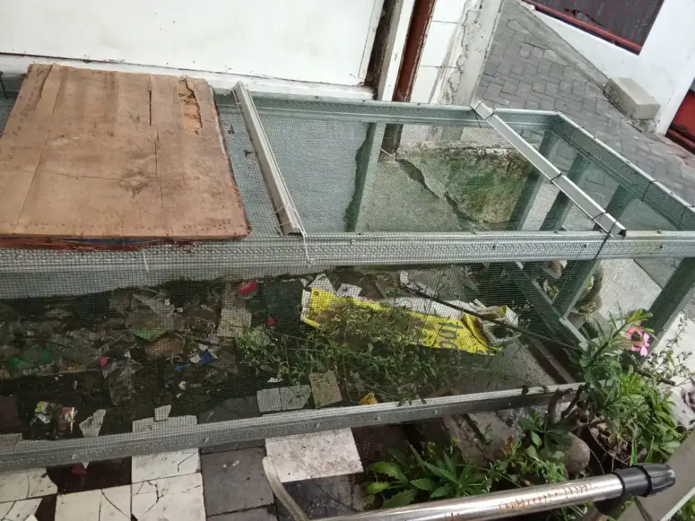 Sangkar Tenggaran burung murai