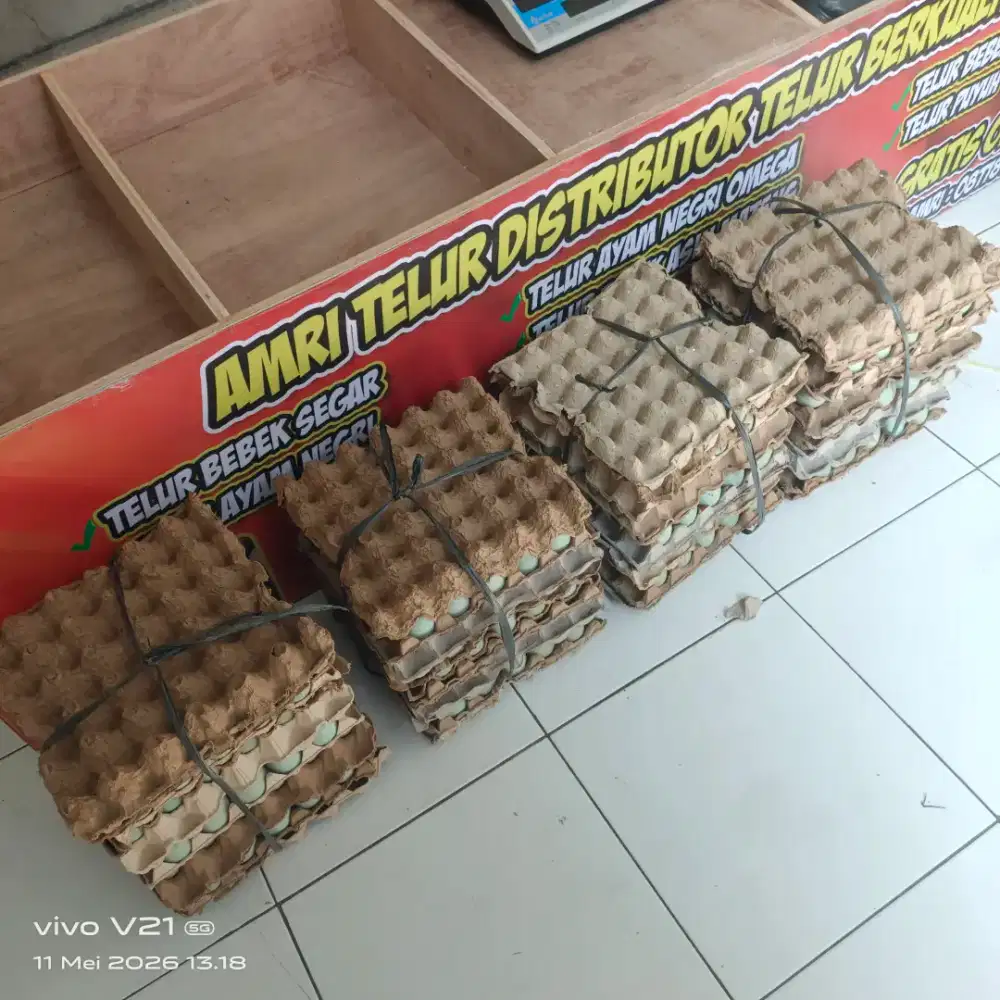 Telur bebek fresh omega