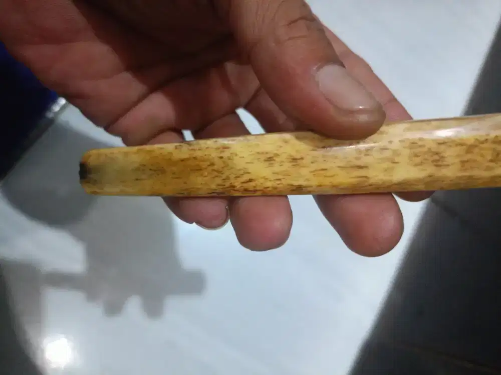 Padudan tulang bahan dr ikan pari