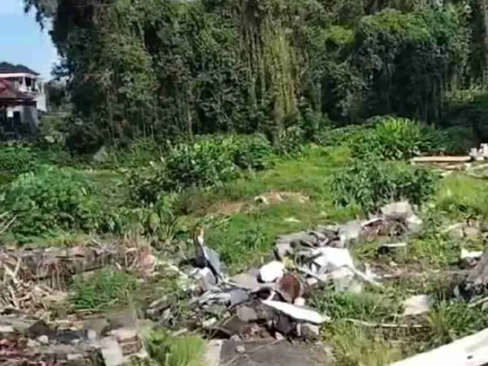 Tanah Komersial Premium Area Sayan Ubud Bali