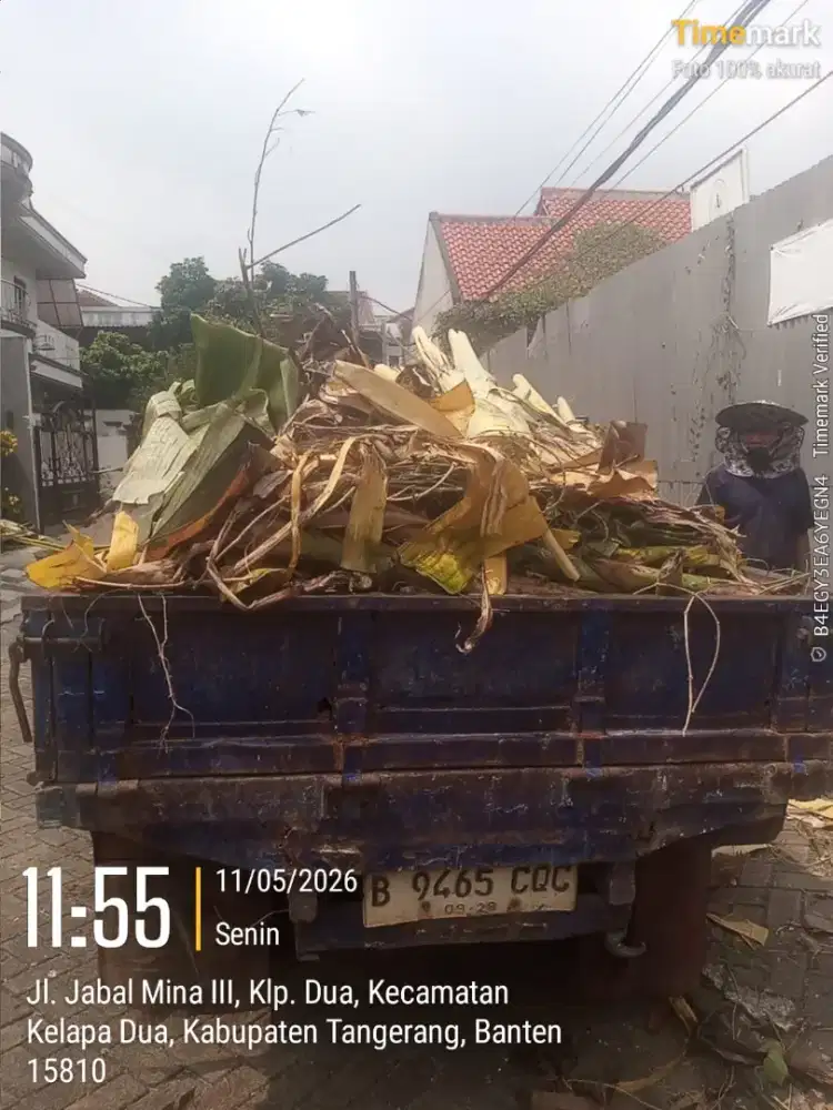 JASA BUANG PUING & SAMPAH PROYEK