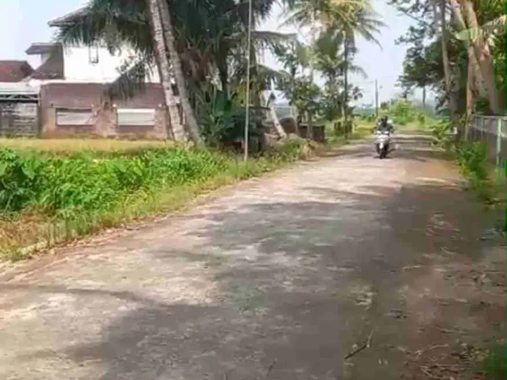Jual Pekarangan View Sawah Di Seyegan Sleman Yogyakarta