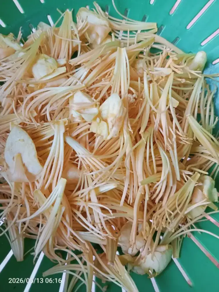 Kembang karuk/kembang duren