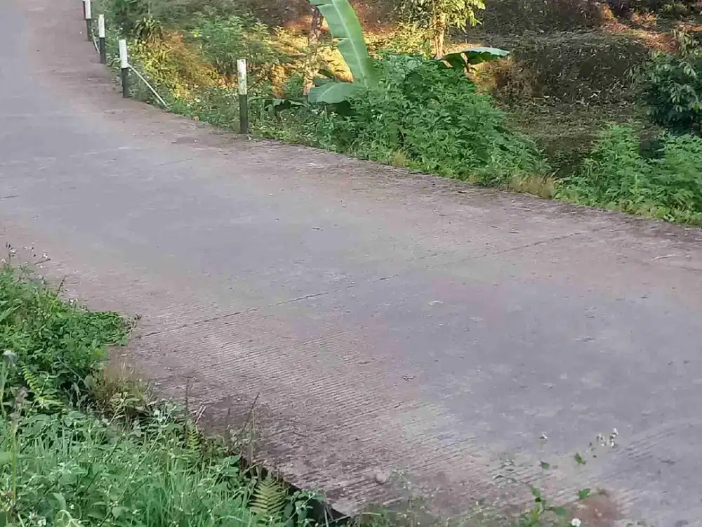 DI JUAL PERKEBUNAN BUAH DURIAN ADA SUMBER AIR MENGALIR TRAWAS
