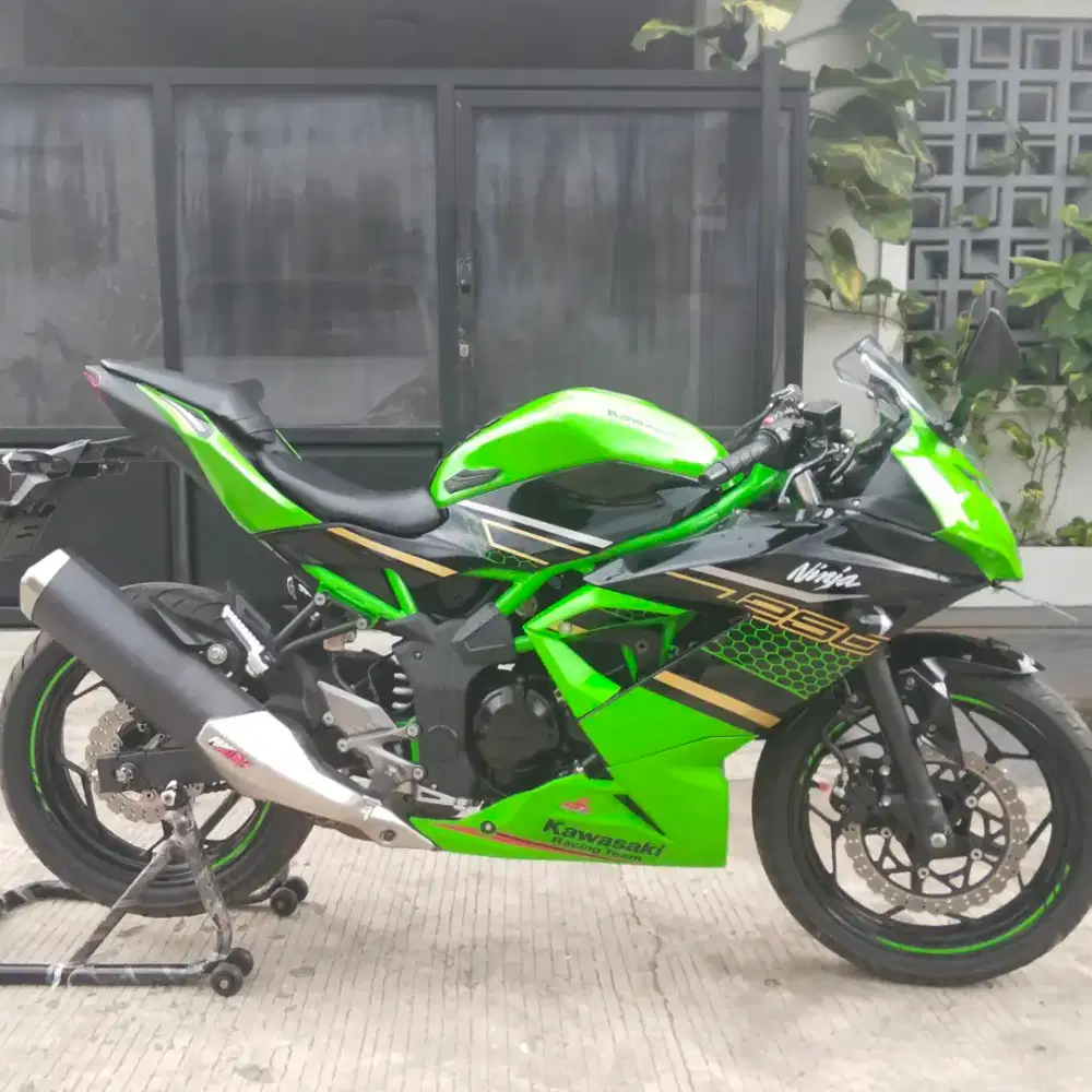 Kawasaki Ninja 250 Mono SL 2021