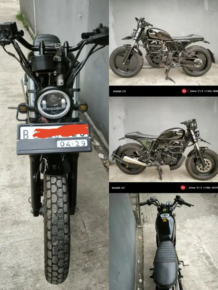Yamaha byson / custom model trumph