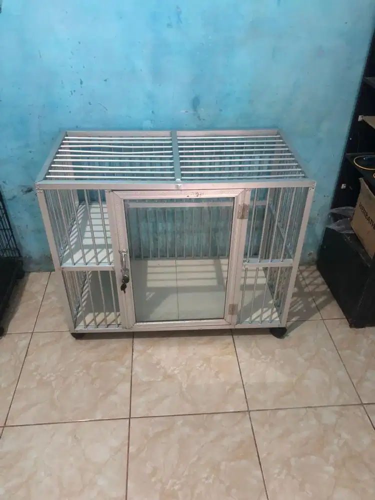 Kandang kucing layak pakai