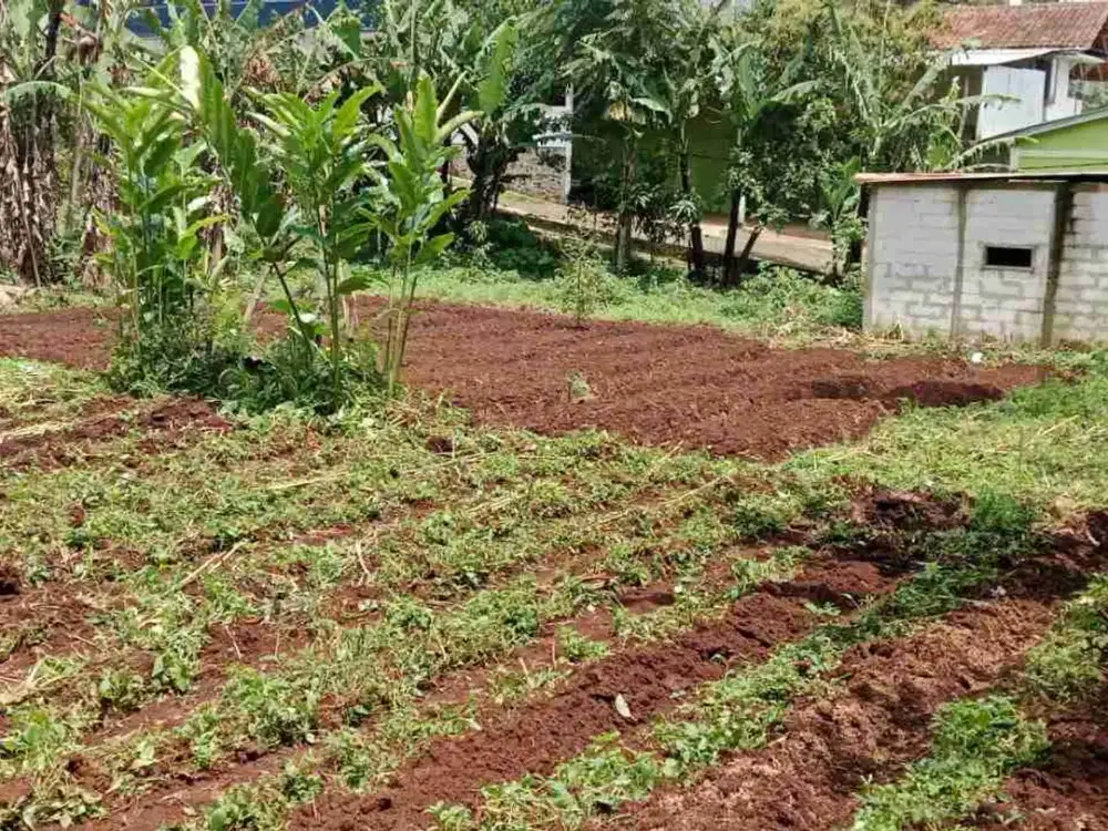 JUAL CEPAT TANAH BONUS RUMAH TINGGAL DILANJUT ARJASARI HARGA TERJANGKAU