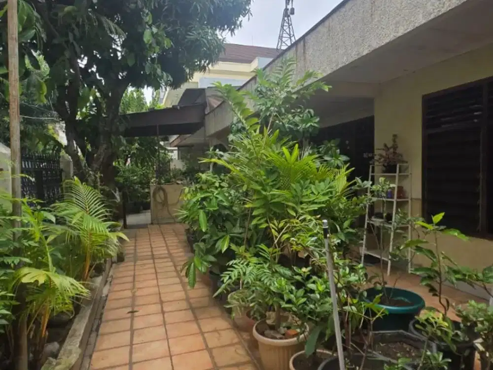 Di Jual Cepat dan Termurah Rumah Tua Pluit Permai