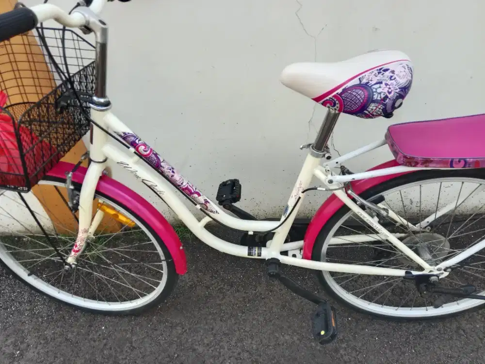 Sepeda wim cycle