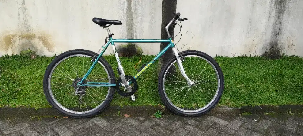 Sepeda Federal Jaguar Focus 19.5