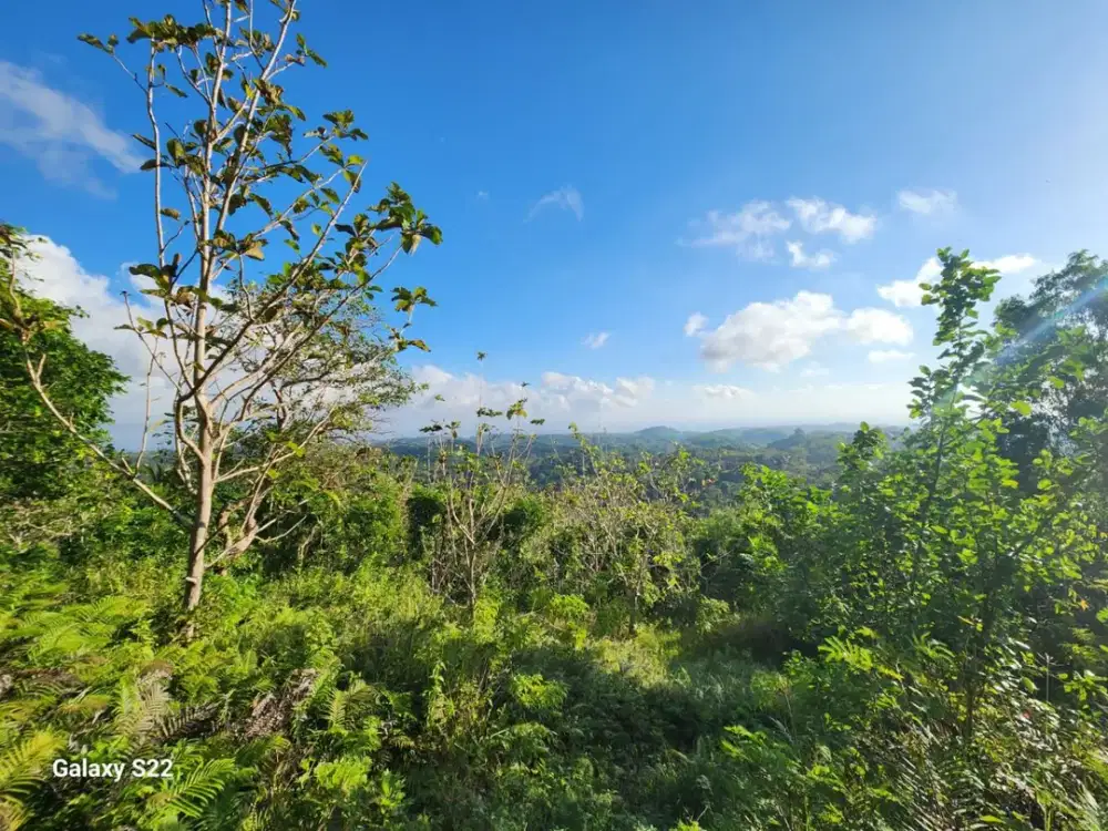 Jual Cepat Kavling di Desa Klumpu Nusa Penida Siap Bangun