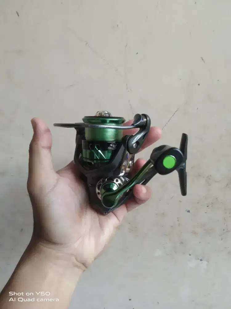 Rell pancing merek lizard