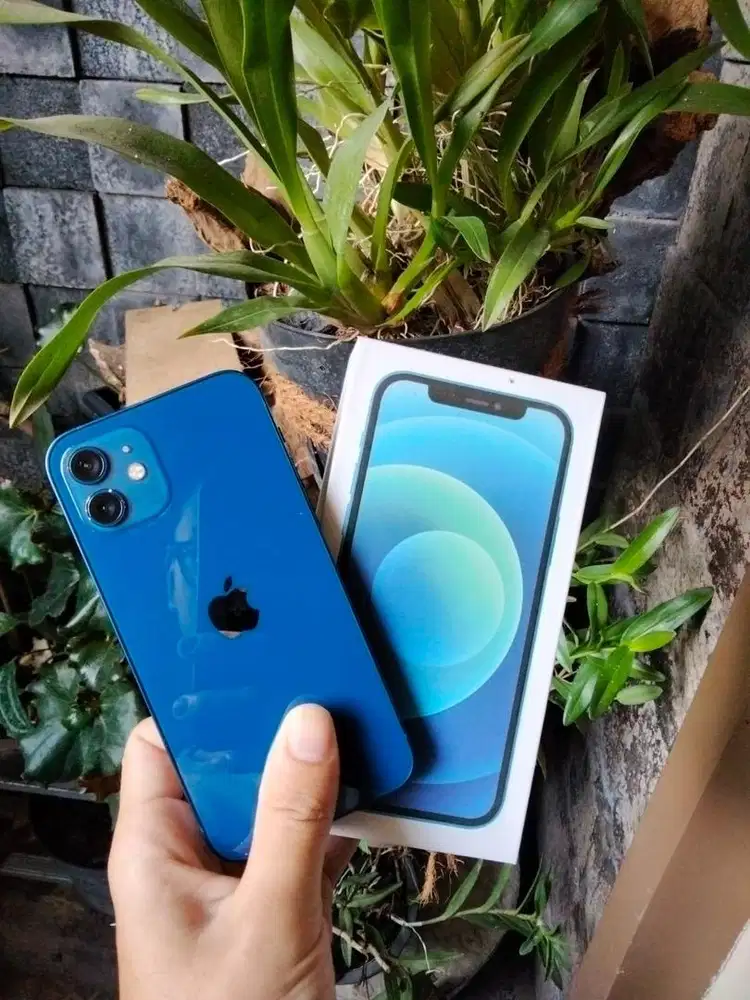 iphone 12 beacukai
