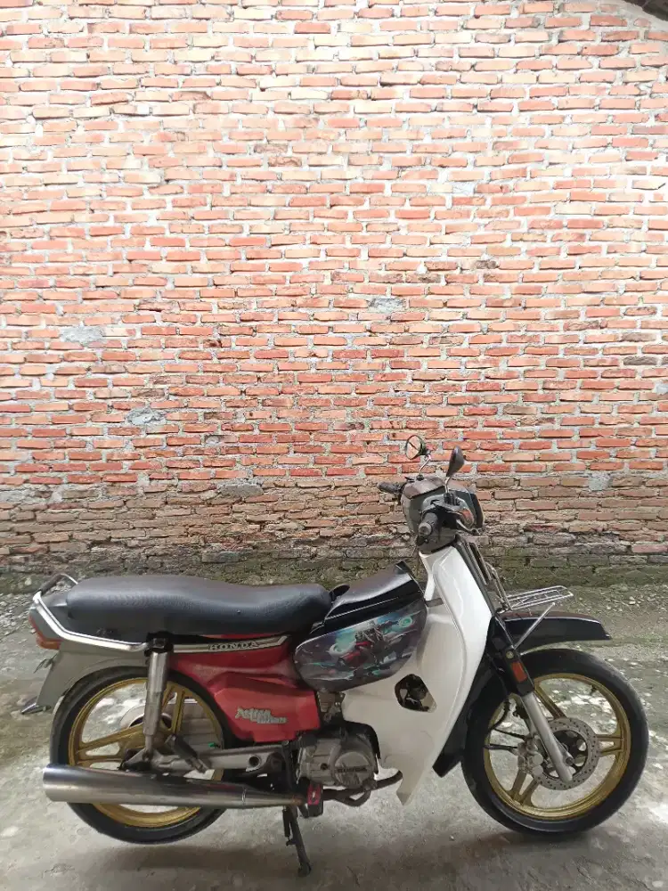 Astrea prima asli merah