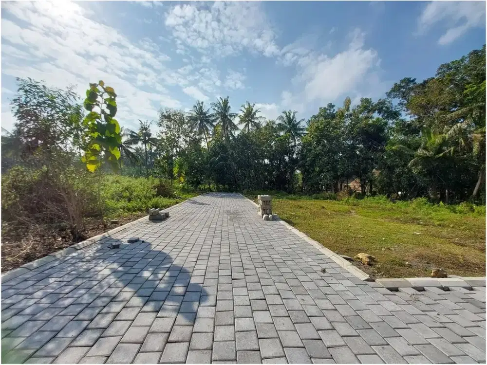 Dekat Terminal Wates Info Tanah Dijual Jogja di Wates