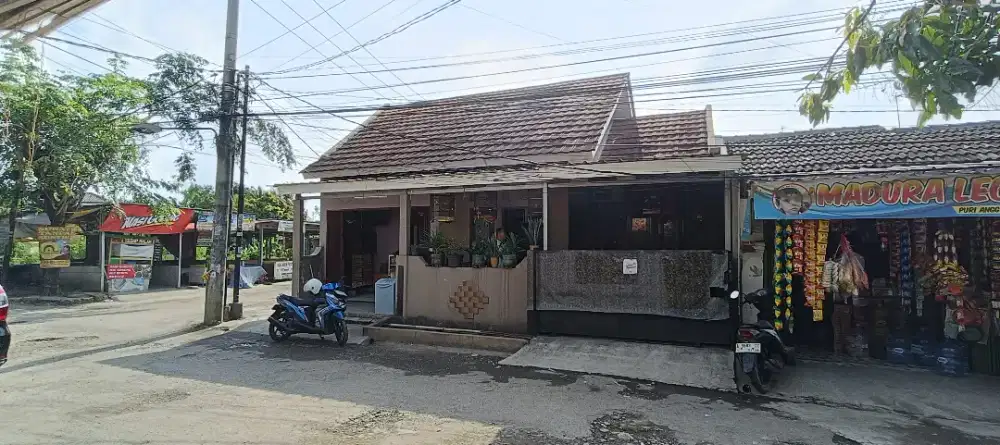 Puri anggrek serang