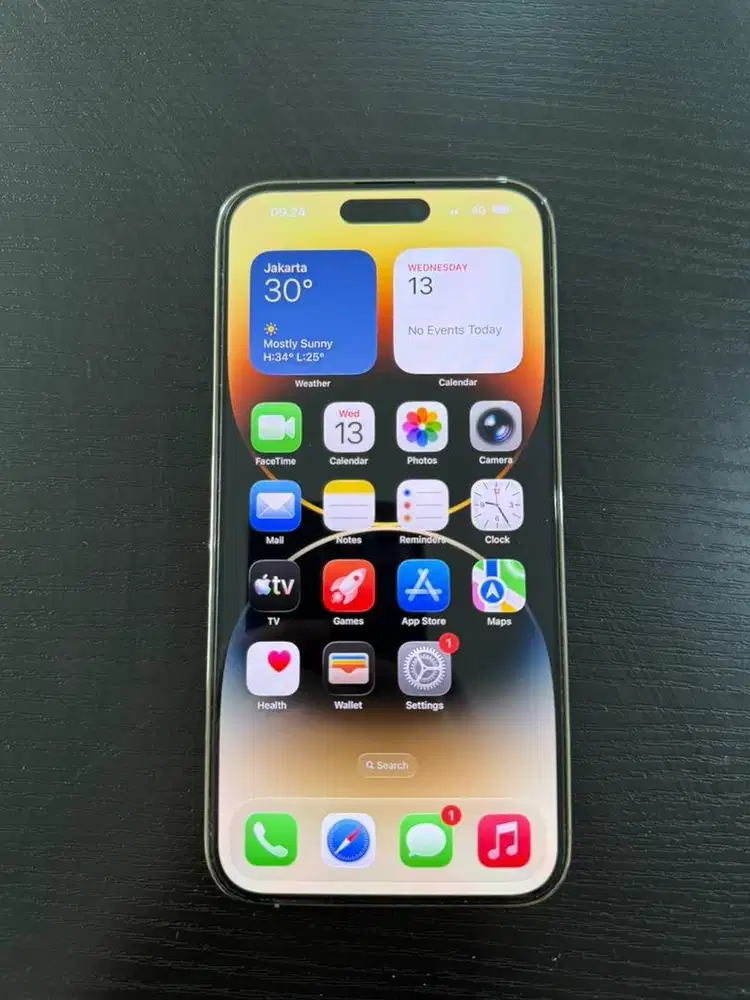 iPhone 14 Pro Max
