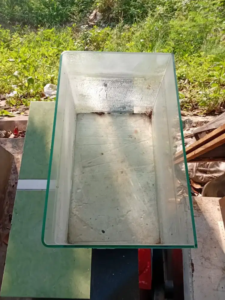 Aquarium buat ikan