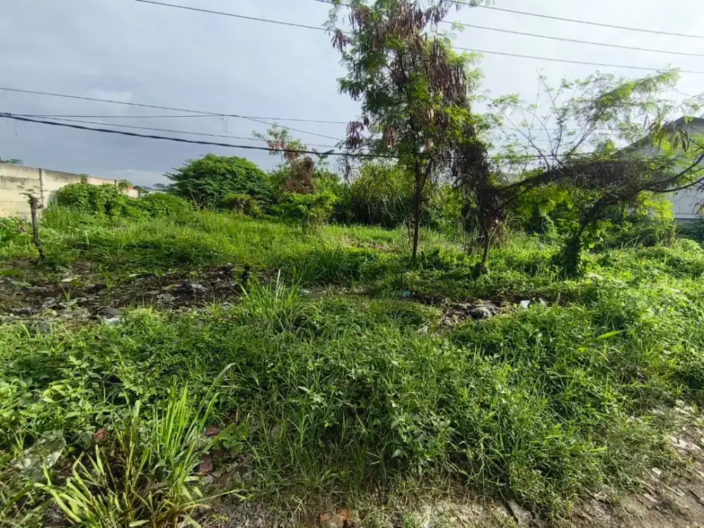 Dijual Tanah super strategis, pinggir jalan raya provinsi, Jabar,