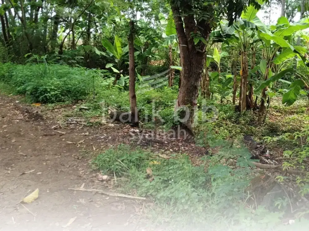 RUMAH ASETKU – ASTANAJAPURA (Tanah) KABUPATEN CIREBON