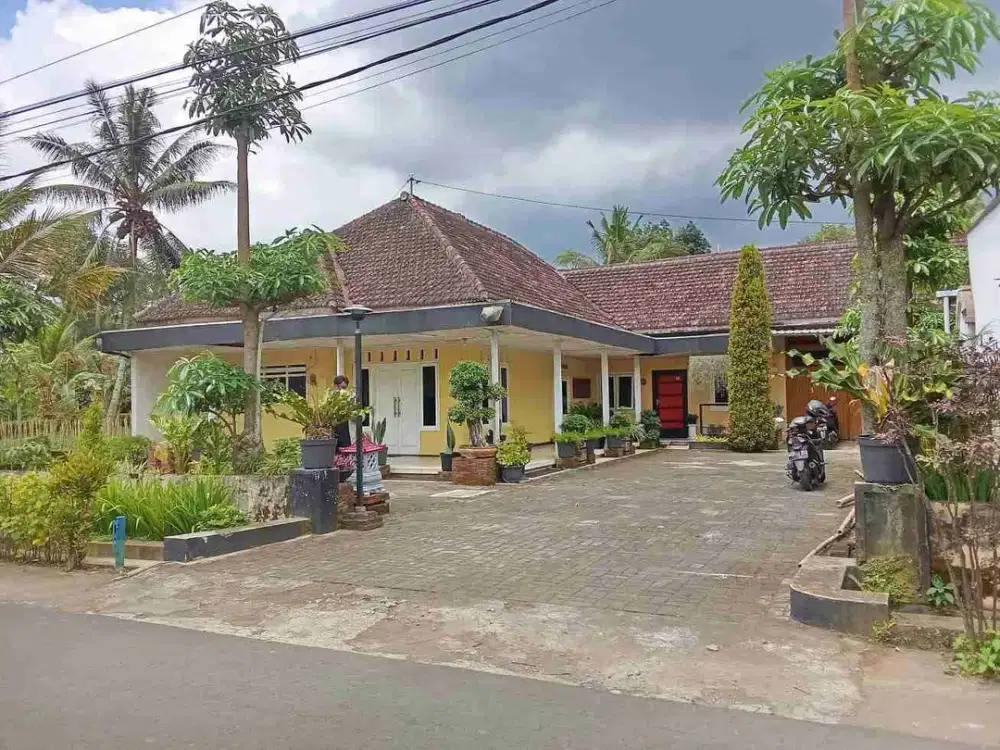 Dijual Via Lelang Tanah dan Bangunan Jalan Tirto Desa Pagedangan Kec Turen Malang