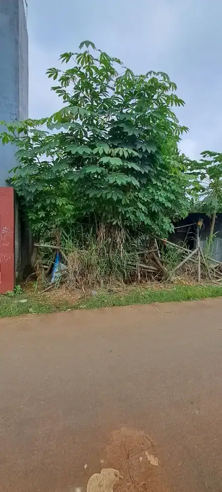 Di Jual Tanah strategis
