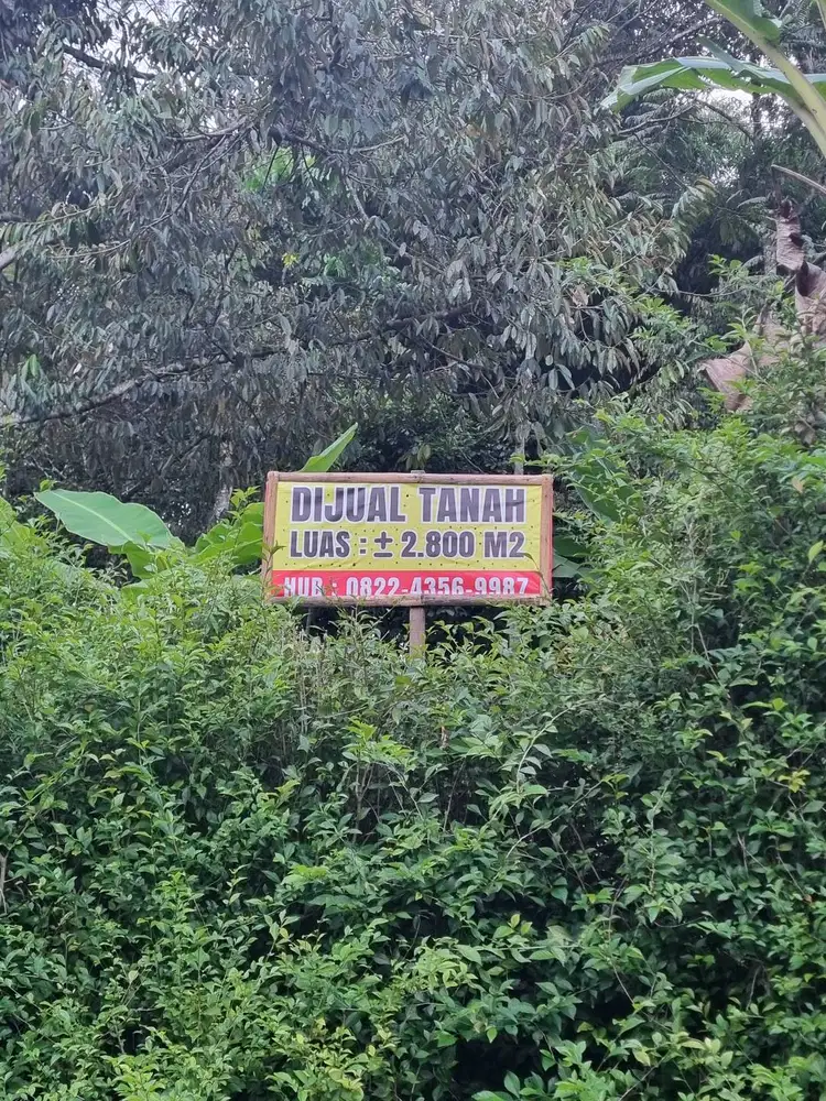Dijual Tanah Jalan Raya Banyumas - Banjarnegara