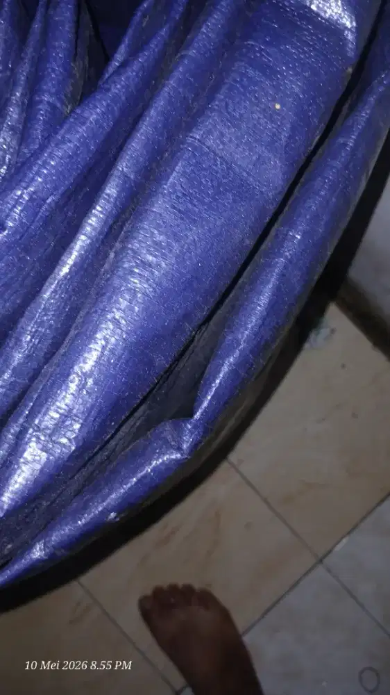 Terpal biru tebal
