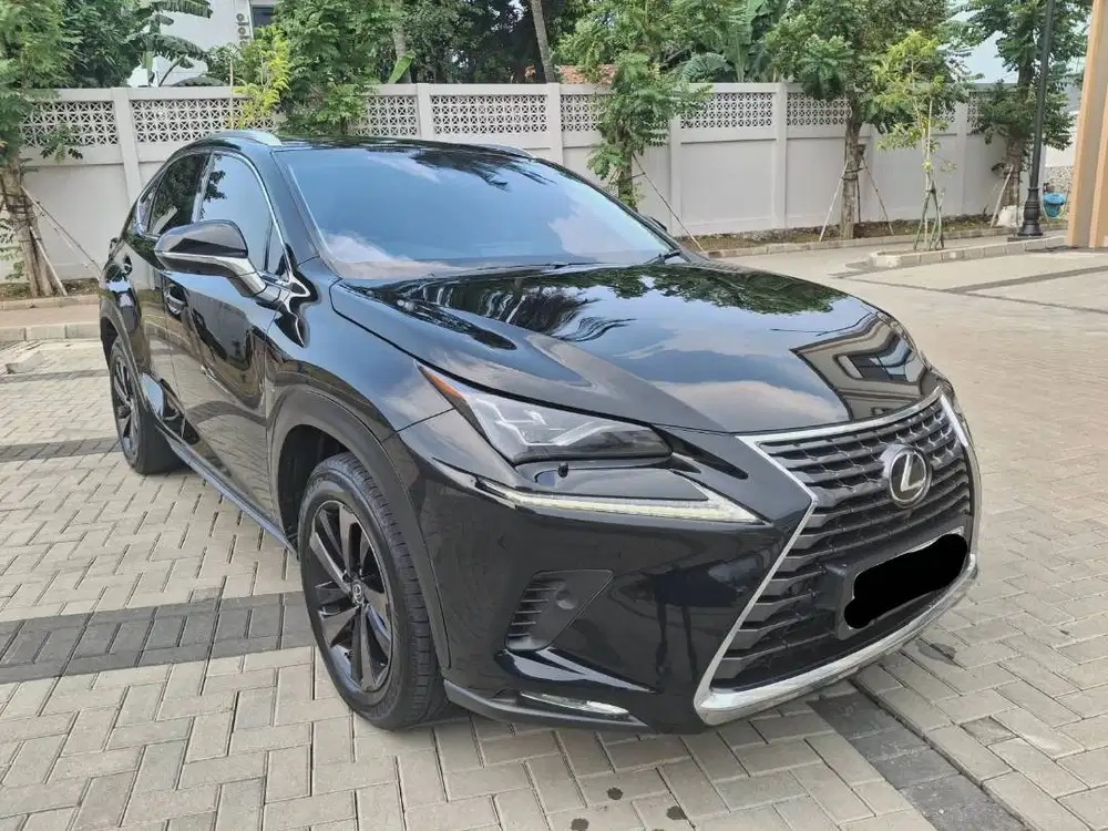 LEXUS NX300 2.0TURBO LUXURY