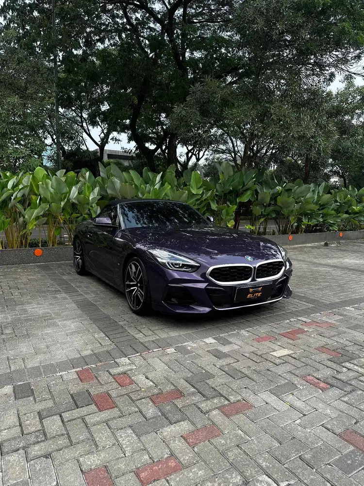 BMW Z4 sDrive30i AT 2023