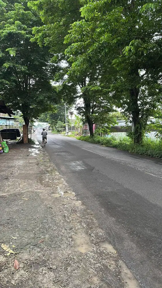 DIJUAL TANAH JL SIDOMOYO GODEAN STRATEGIS DEKAT AKSES TOL JOGJA SLEMAN