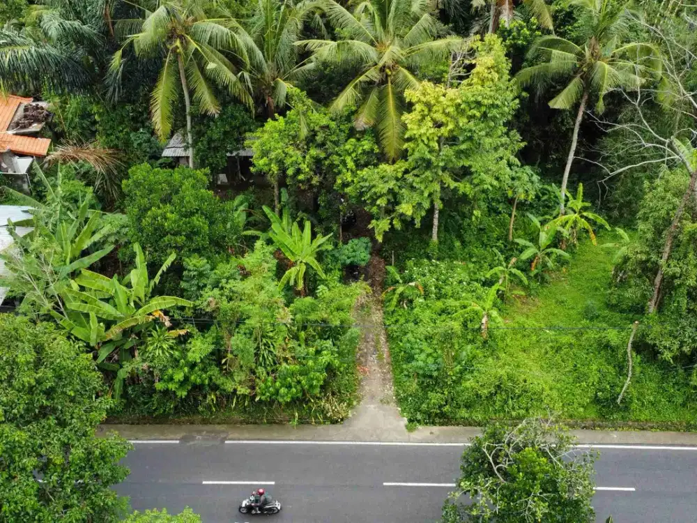 DIJUAL TANAH PREMIUM JLN RAYA BONGKASA- PENGEMBUNGAN ABIANSEMAL BADUNG BALI NEAR UBUD